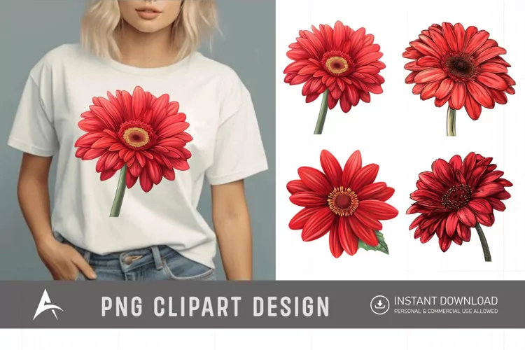Watercolor Red Gerbera Daisy Flowers Clipart