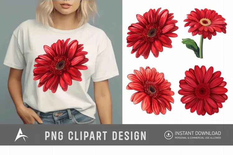 Watercolor Red Gerbera Daisy Flowers Clipart