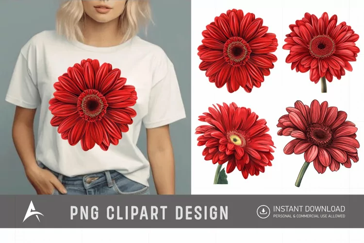 Watercolor Red Gerbera Daisy Flowers Clipart