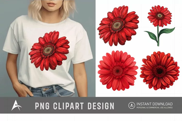 Watercolor Red Gerbera Daisy Flowers Clipart