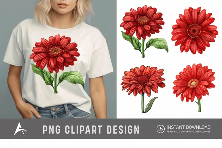 Watercolor Red Gerbera Daisy Flowers Clipart