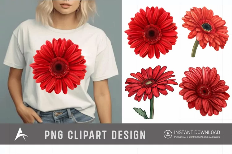 Watercolor Red Gerbera Daisy Flowers Clipart