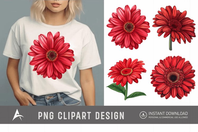 Watercolor Red Gerbera Daisy Flowers Clipart
