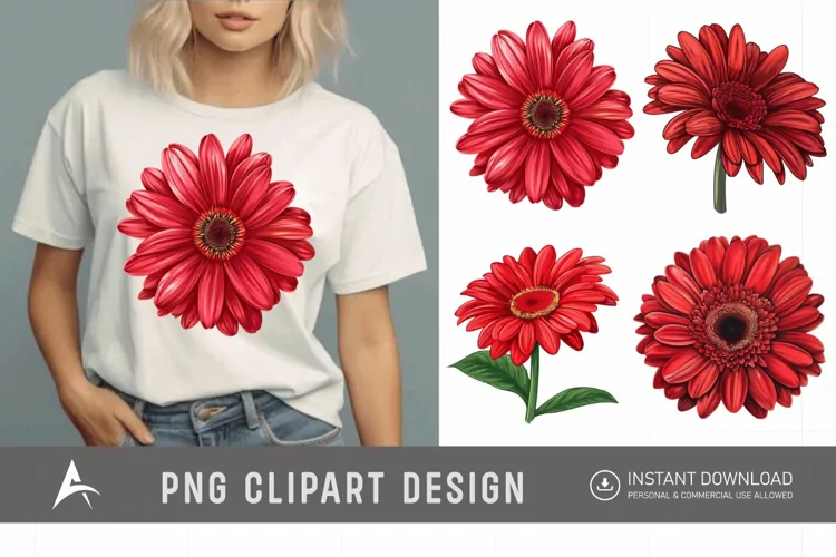 Watercolor Red Gerbera Daisy Flowers Clipart