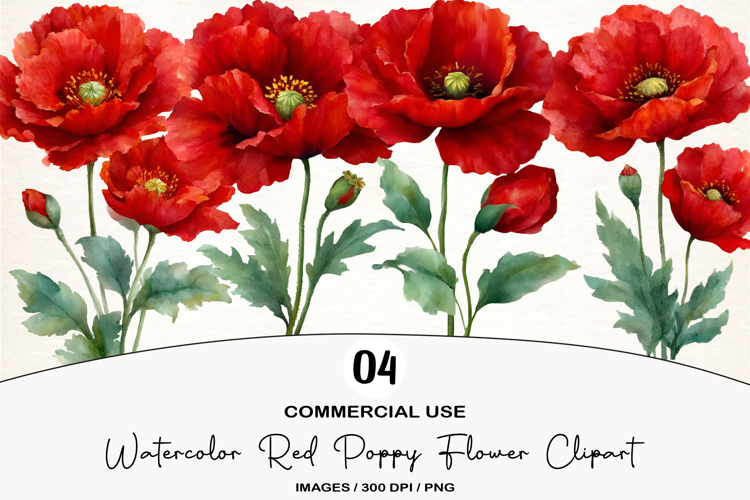 Watercolor Red Poppy Flower Clipart