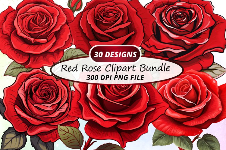 Watercolor Red Rose Sublimation Clipart Bundle