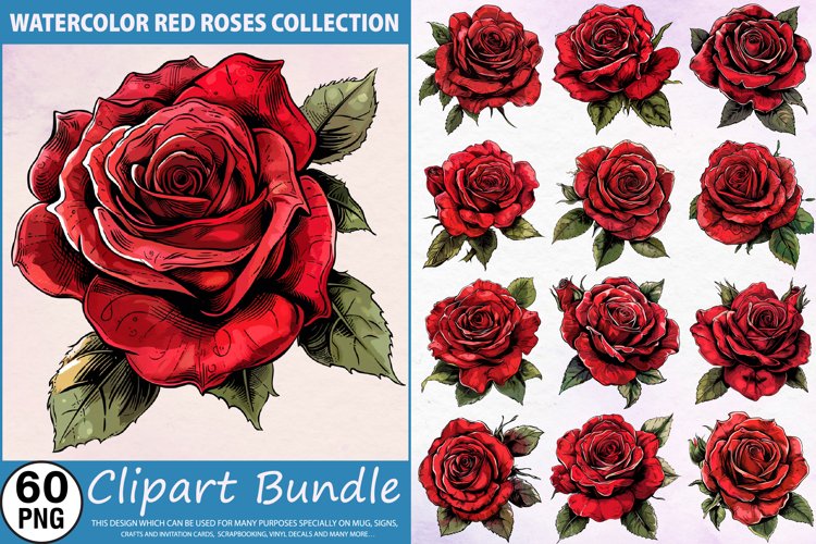 Rose Graphic Image 4