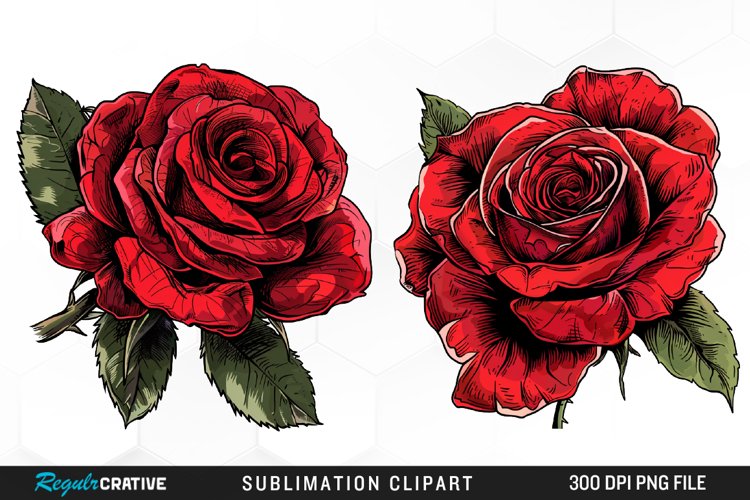 Rose Graphic Image 14