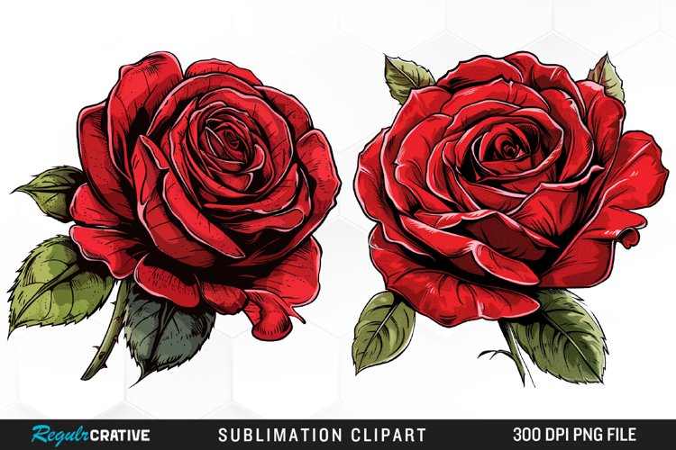 Watercolor Red Roses Exquisite Clipart
