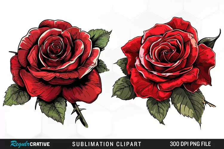 Watercolor Red Roses Exquisite Clipart