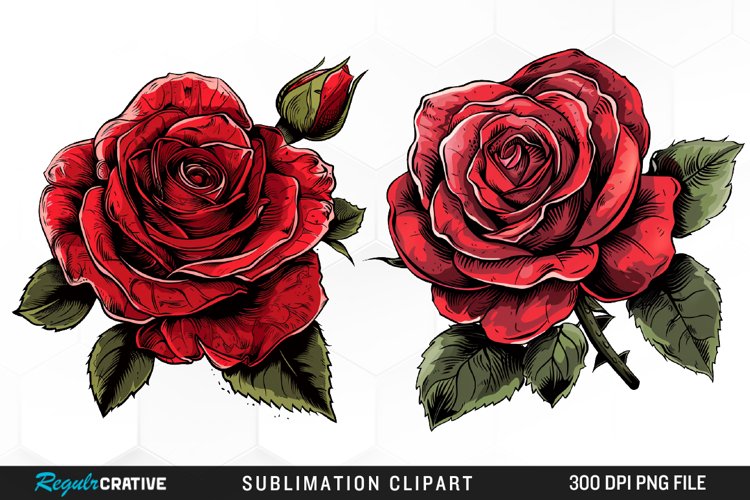 Watercolor Red Roses Exquisite Clipart
