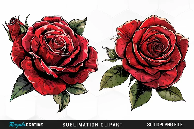 Watercolor Red Roses Artwork Clipart
