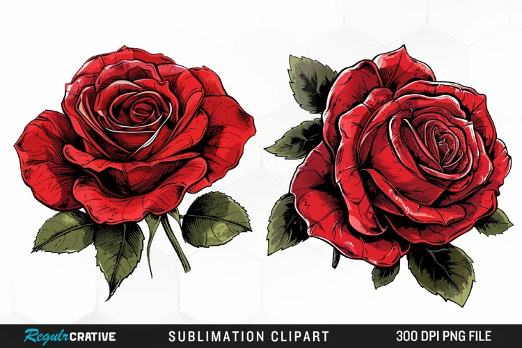 Watercolor Red Roses Exquisite Clipart