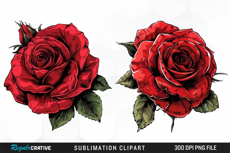 Watercolor Red Roses Exquisite Clipart