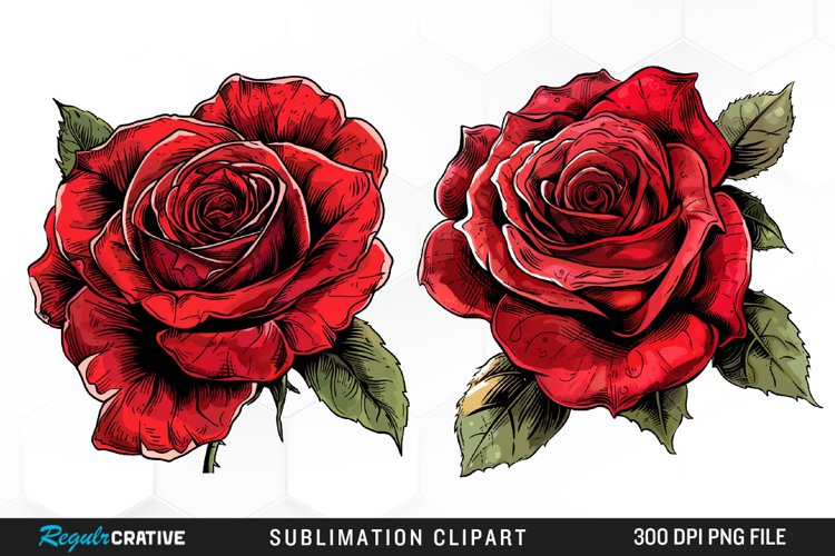 Watercolor Red Roses Exquisite Clipart