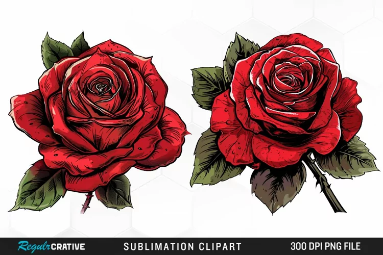 Watercolor Red Roses Artwork Clipart