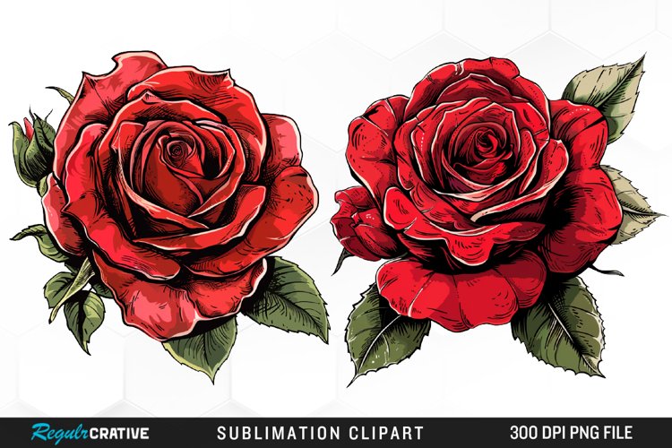 Rose Graphic Image 20