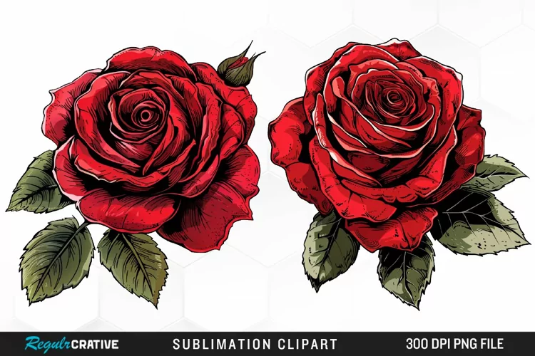 Watercolor Red Roses Exquisite Clipart