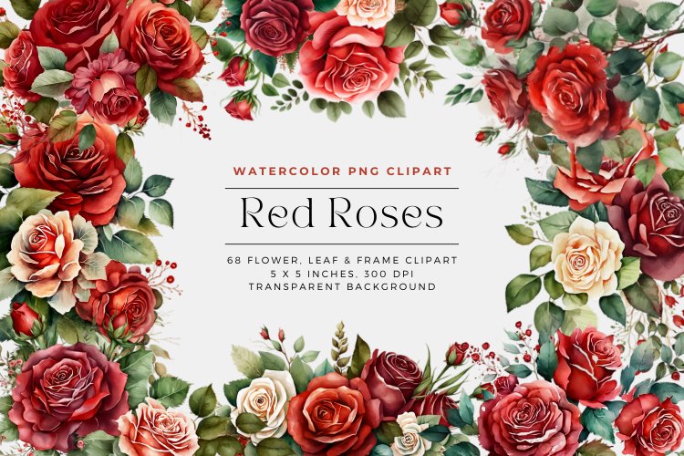 Red Rose Png Image 7