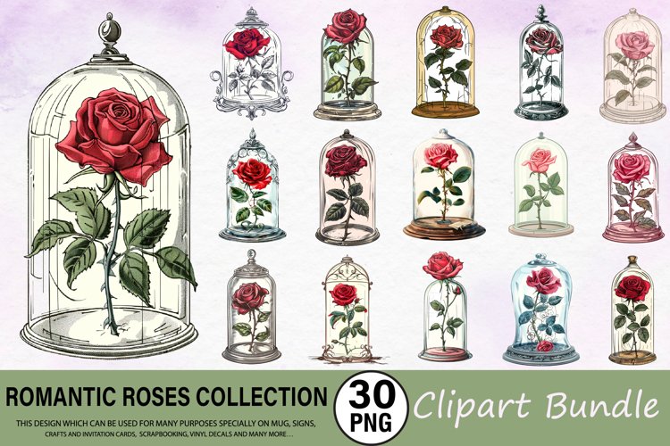 Rose PNG Image 3
