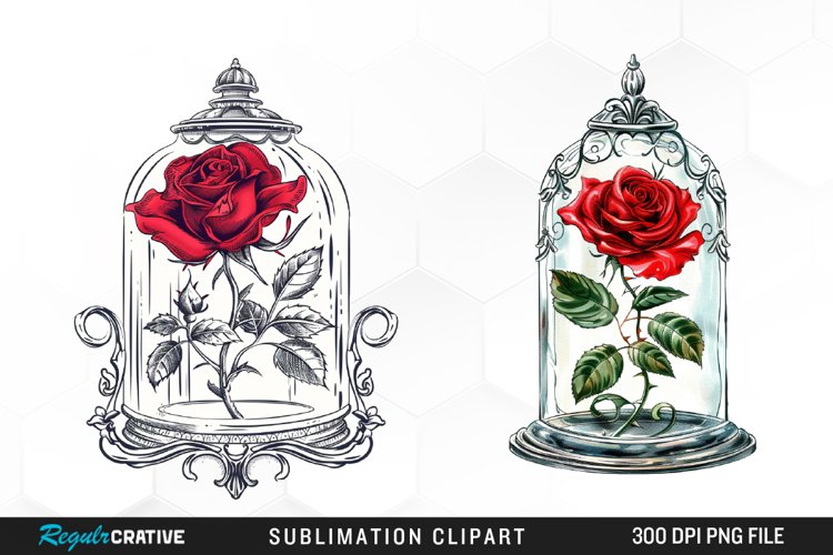 Rose PNG Image 4