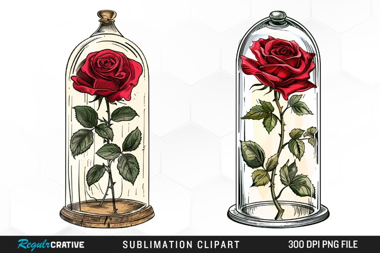 Rose PNG Image 13