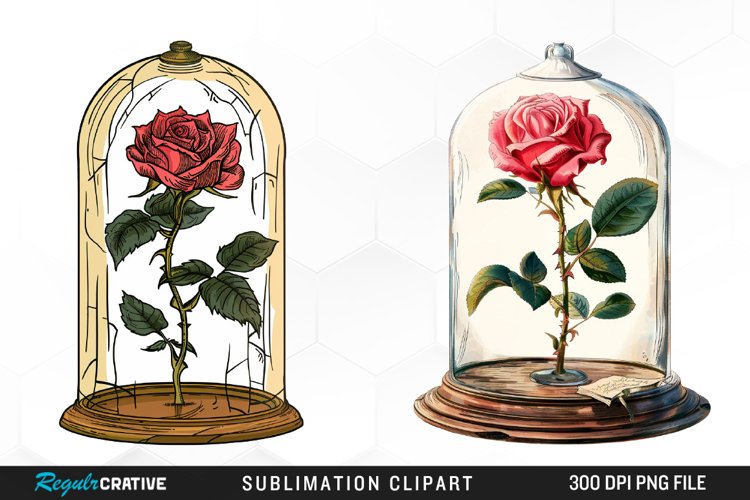 Rose PNG Image 5