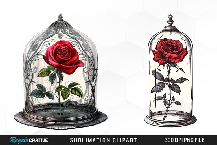 Rose PNG Image 3