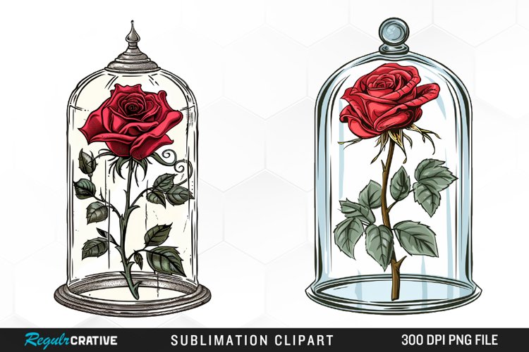 Rose PNG Image 10