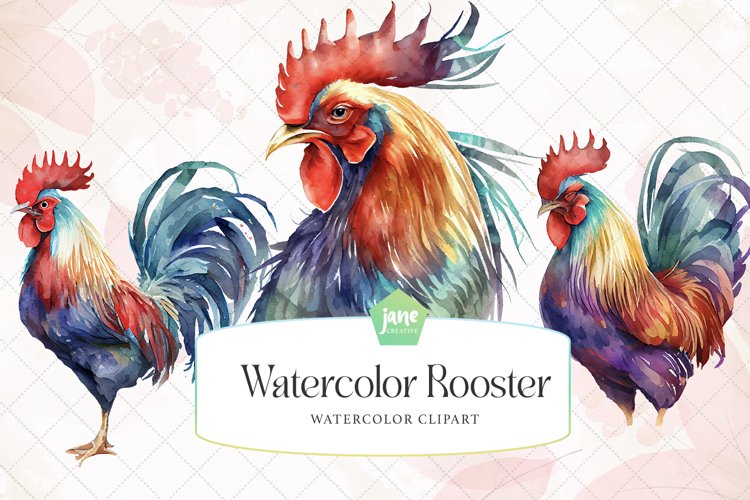 Rooster Illustration Image 23