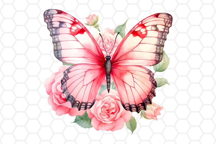 Rose PNG Image 5