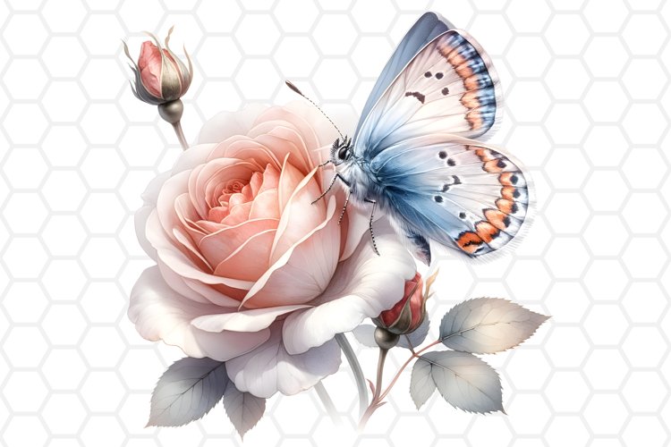 Rose PNG Image 9