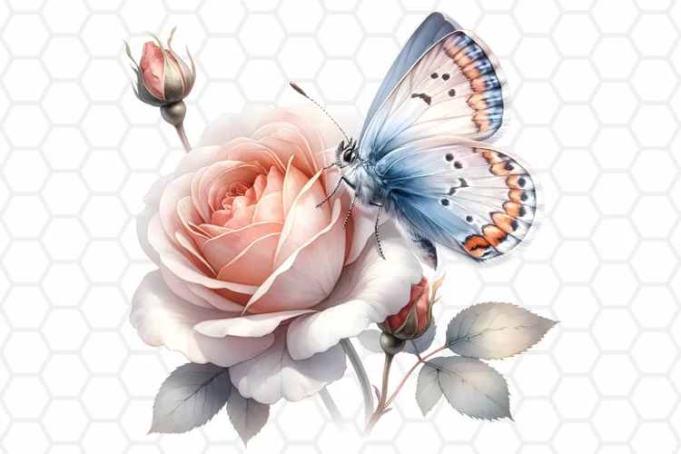 Watercolor Rose and Butterfly Clipart, Sublimation PNG
