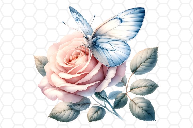 Rose PNG Image 8
