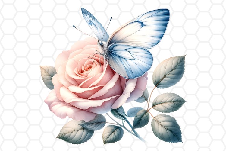 Rose PNG Image 10