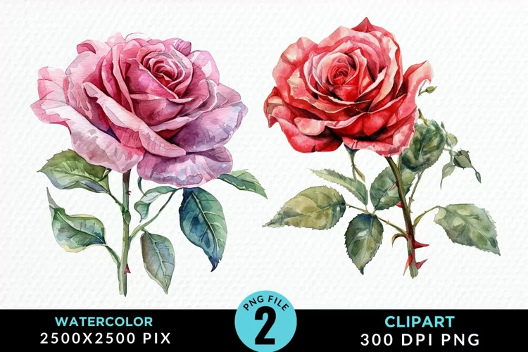 Watercolor Rose Sublimation PNG Clipart