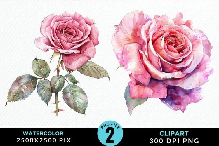 Watercolor Rose Sublimation PNG Clipart