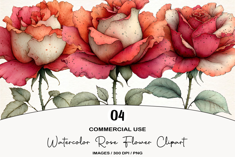 Watercolor Rose Flower Clipart