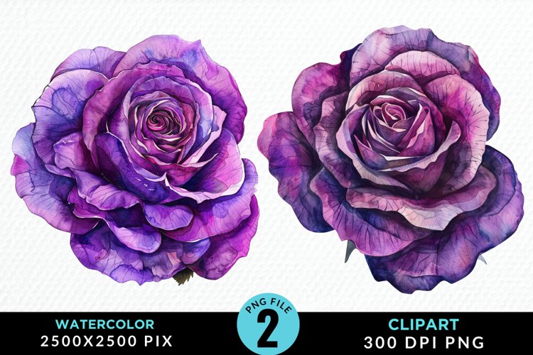 Watercolor Rose Vibrant Purple Graphic Clipart example image 1