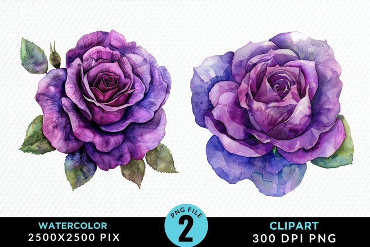 Watercolor Rose Vibrant Purple Graphic Clipart example image 1