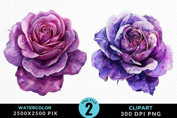 Purple Rose Png Image 19