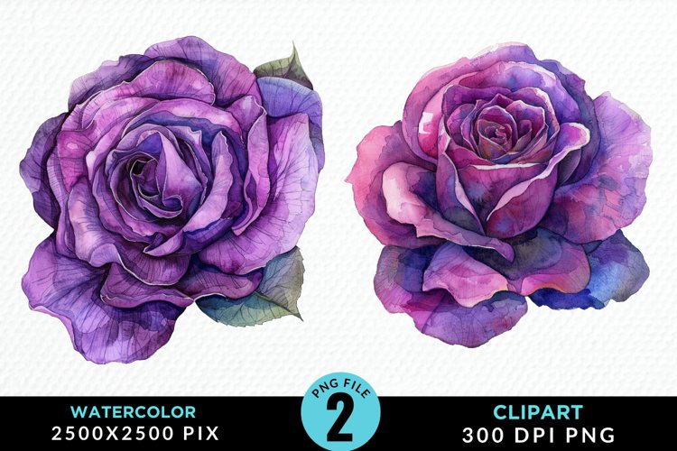 Watercolor Rose Vibrant Purple Graphic Clipart example image 1