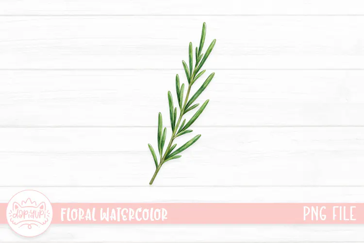 Floral Watercolor Illustration, Flower Watercolor Decoration