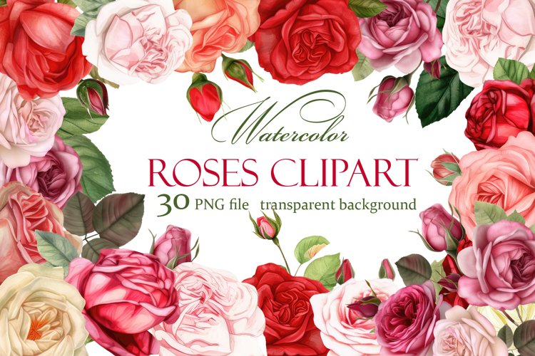 Watercolor floral clipart, Roses clipart
