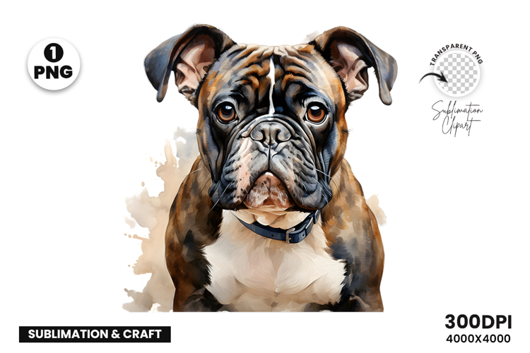 Watercolor Rottweiler Dog Clipart Sublimation Design PNG
