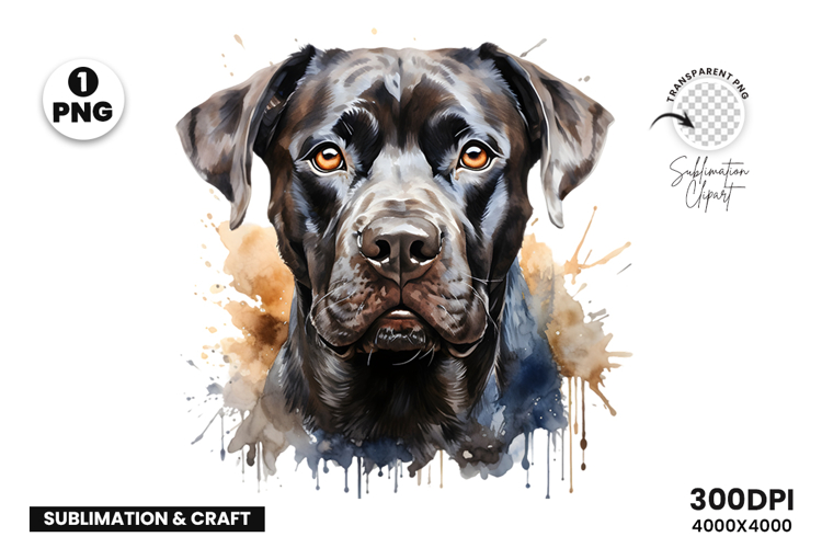 Watercolor Rottweiler Dog Clipart PNG Sublimation Design