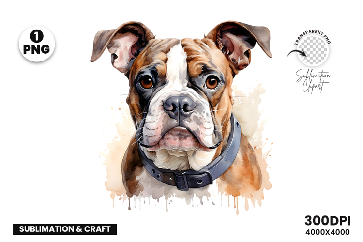 Watercolor French Bulldog Dog Clipart Sublimation Design PNG