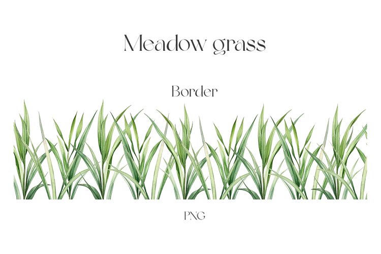 Grass clipart. Rustic summer border clipart. Summer border