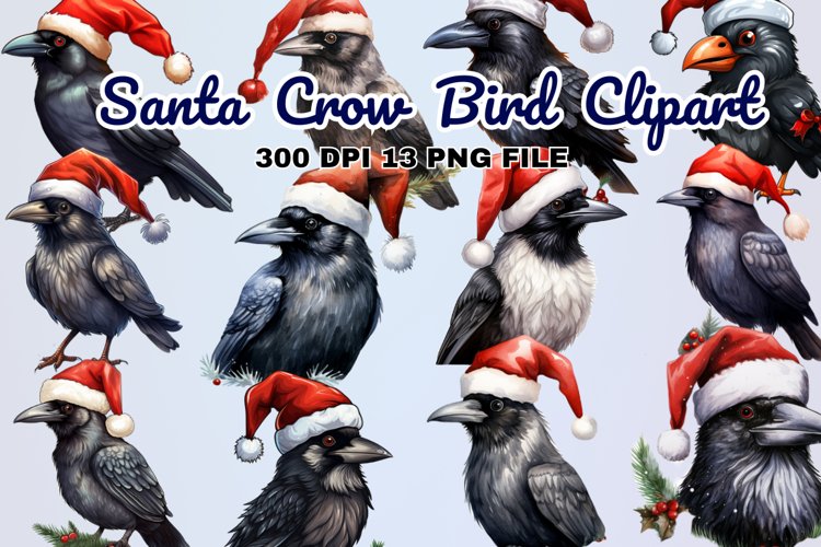 Crow Png Image 21