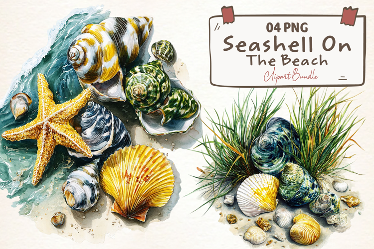 Watercolor Seashell On The Beach Clipart